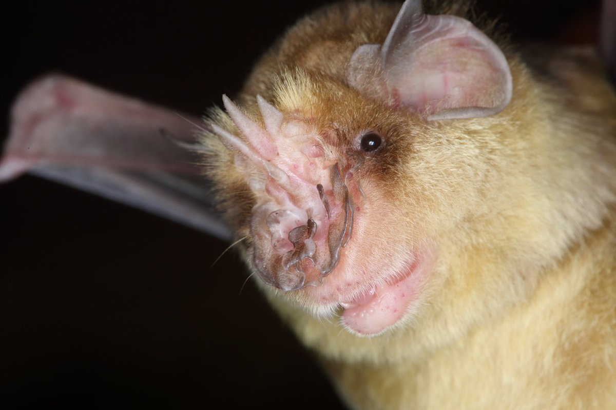 Paul Webala tweet media