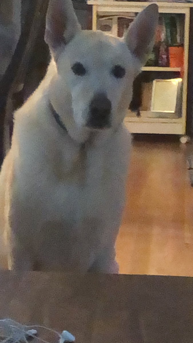 Stop staring at me it’s not time for me to feed you😤