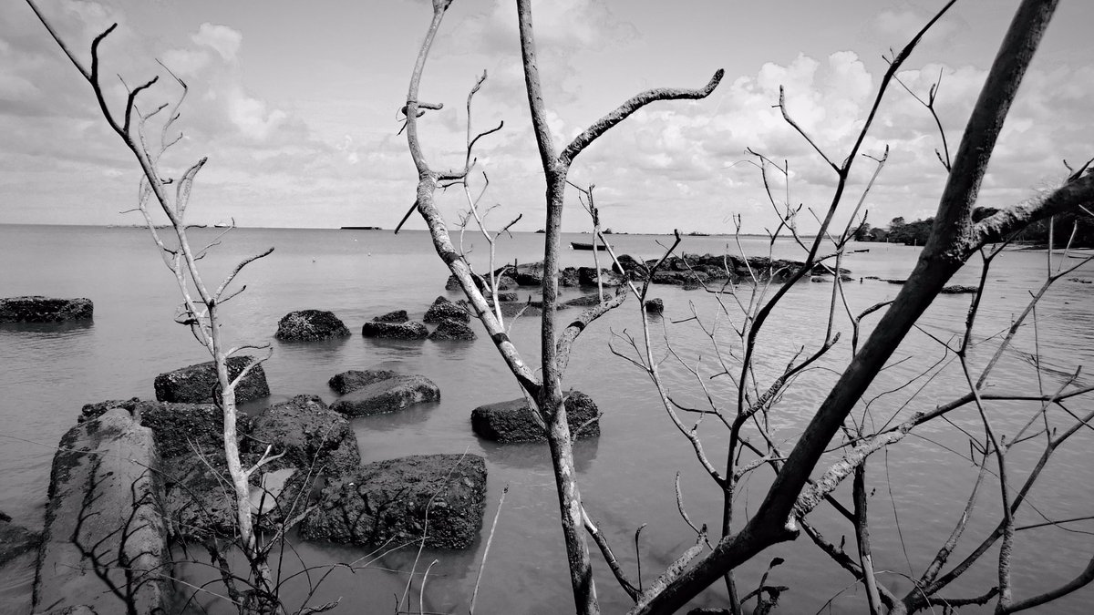 hammerclawmusic's tweet photo. pt. 2 Beach off #petrotrin in #Monochrome vs. #vivid #color 

#freelance #lumibee #snapseed #drytrees #processed #psx #skyline #blue #horizon #travel #desert #ruins #oilplant #Rocky #edits #tree #chill #nikon #clouds #trinidadandtobago #nikoncoolpix  #caribbean #exotic #islands https://t.co/W9ABeEoJpN