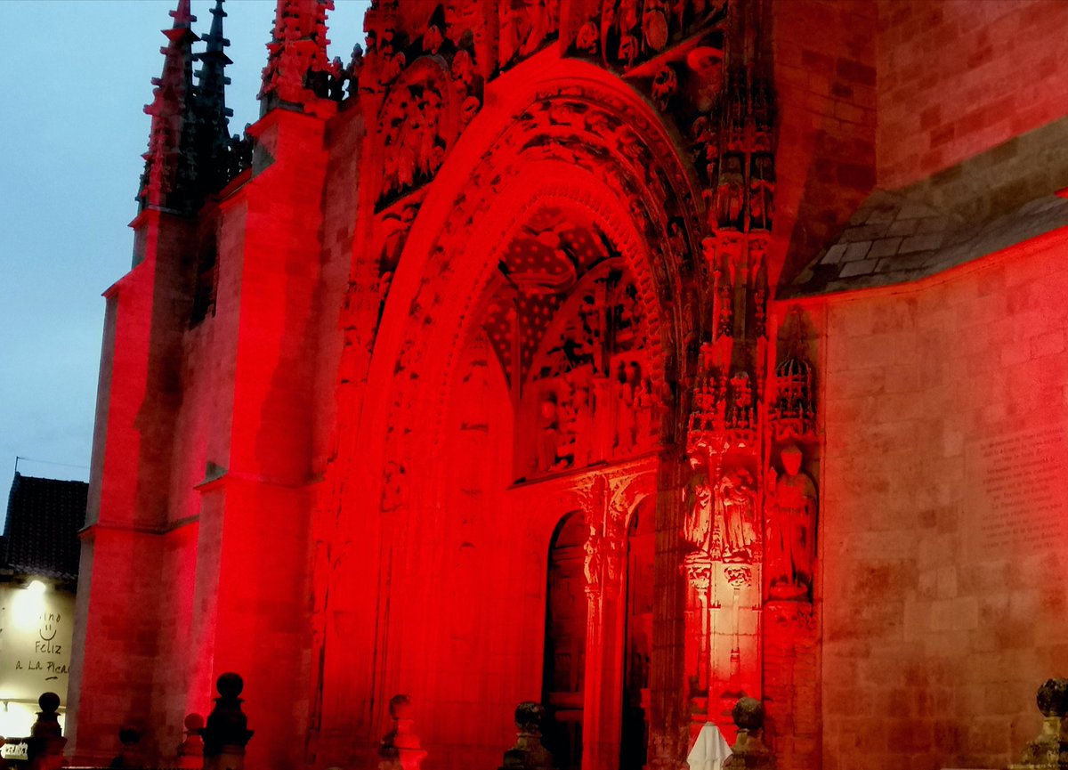 Antonio Miguel 🔻🇵🇸 tweet media