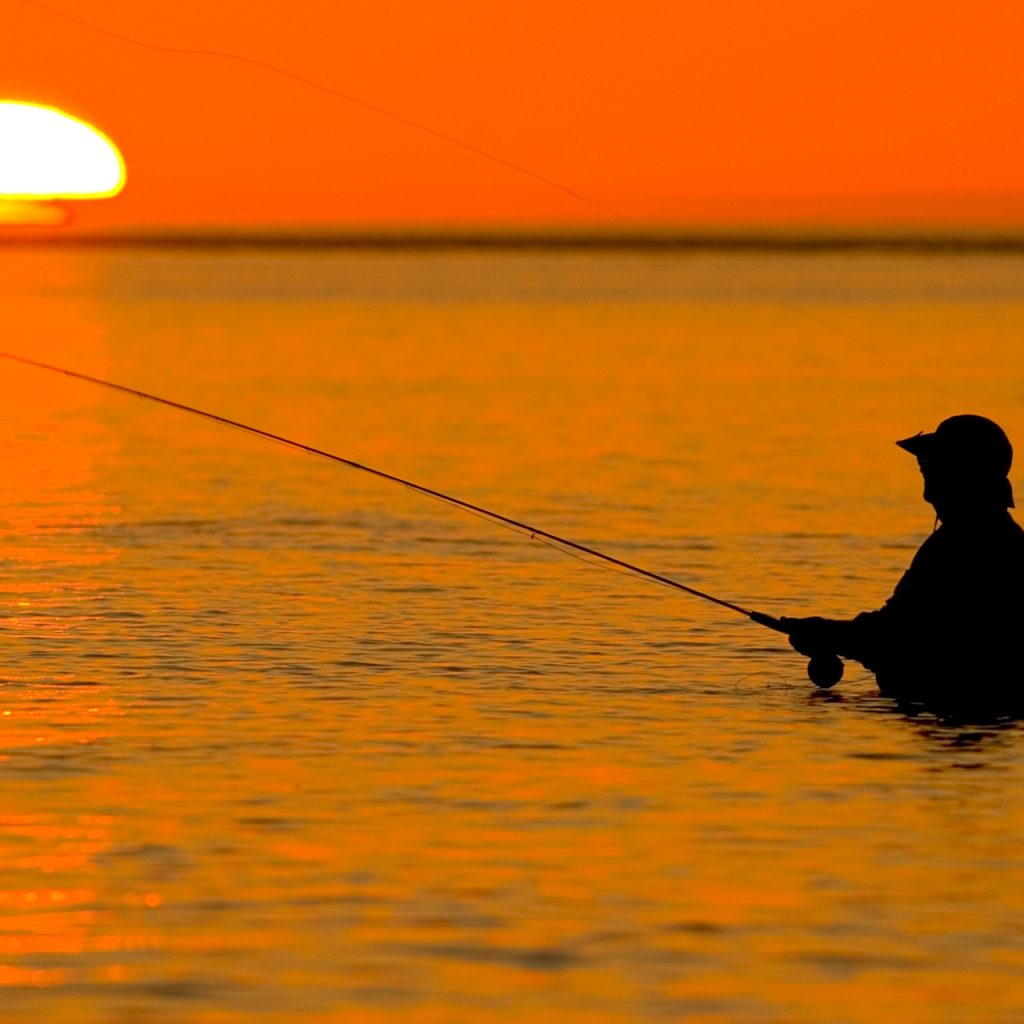 Angling for answers? More than 150 #AFSvirtual2020 presenters will be online to provide real time responses to questions and comments on their papers. See today's participants: afsannualmeeting.fisheries.org/angling-for-an…