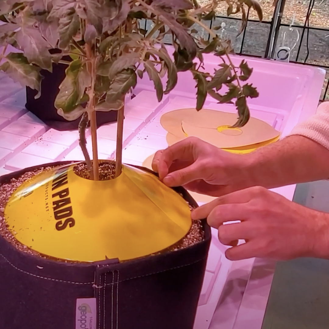 hyproducts's tweet photo. Watch your fingers, Lockdown Pads are sticky for a reason!

Get yours here: https://t.co/WQQoixLgPw https://t.co/vSCTDgXZvL