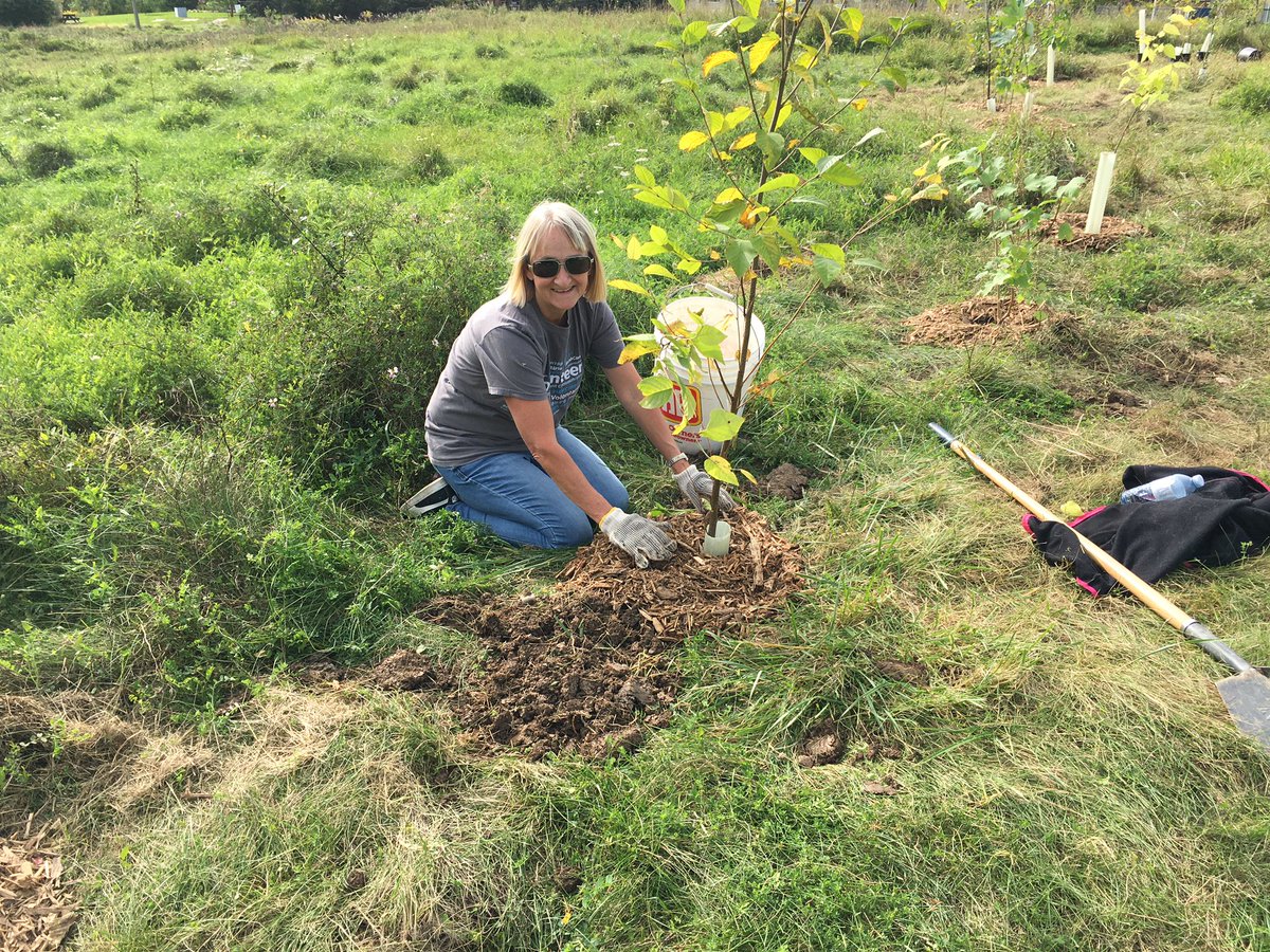 brodiez17's tweet photo. Proud to be part of #MMCGoodDay volunteering in our community planting trees in London, Ontario! #EscapeTheCube #ourimpact #MarshCares @MercerCanada #MercerCares https://t.co/vJcL9u65sN