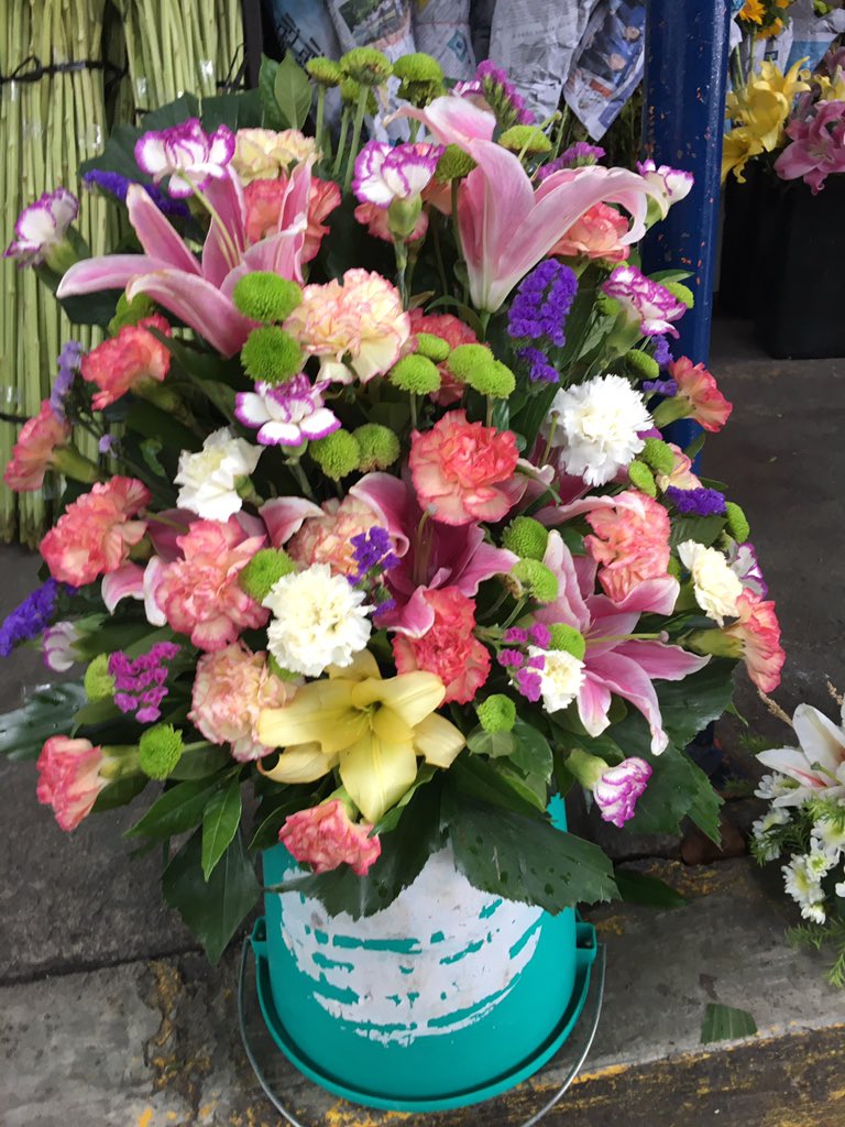 Faceless Trader On Twitter Got Them From Dangwa Great Flowers At Affordable Prices Some Of Them Are Less Than 2 Dollars 3 Dollars 10 Dollars I Paid A Total Of 40