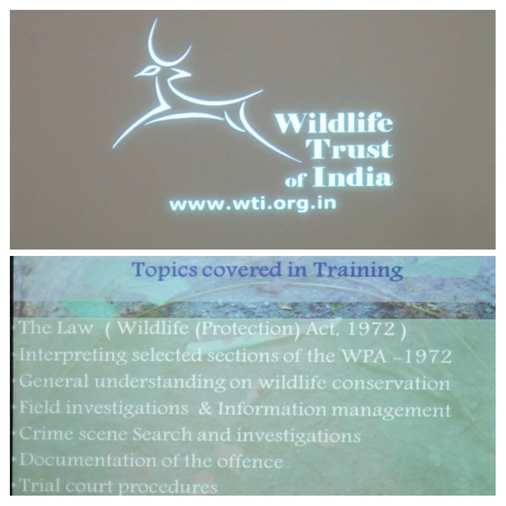 It was a challenge to organise training during the #COVID19
Kudos to <a href="/wti_org_india/">Wildlife Trust of India</a> &amp; team #Nagarahole Tiger Reserve for successfully completing 3 days #wildlife crime prevention training for frontline staff
<a href="/ntca_india/">National Tiger Conservation Authority</a> <a href="/aranya_kfd/">Karnataka Forest Department</a> <a href="/AnandSinghBS/">Anand Singh</a> <a href="/vivek4wild/">Vivek Menon</a> <a href="/kadusudheera/">Sudheer shankar</a>