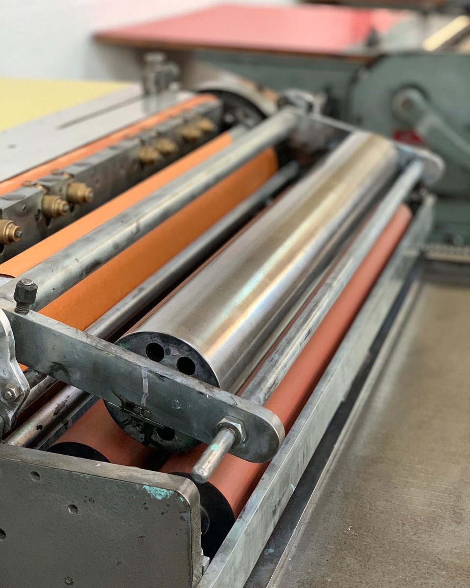 Thomas Mayo tweet media