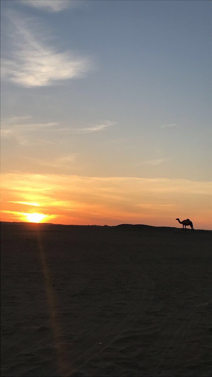 nadrasd12's tweet photo. #الخميس_الونيسً

خذني على يمناك  ياذيب  لاجيت

واسري معك ياذيب  مسرى ذيابه
٠٠
اقنب على راس الرجم يوم  ناديت

وأعطني علوم اللي هجوسك سرابه 

#عبدالله_الرشيدي 
#بووح_القصيد https://t.co/91swuPphov