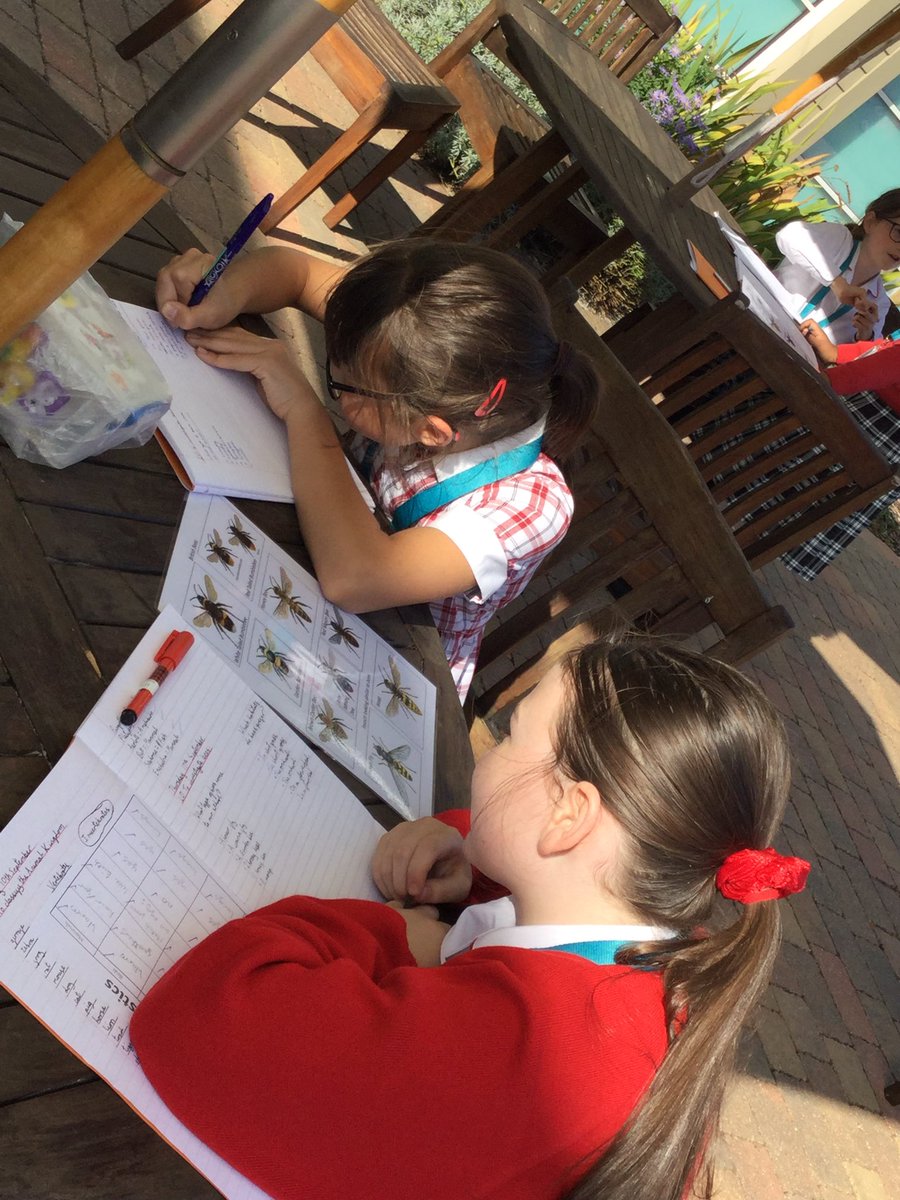 PipersPrep's tweet image. Today in Science, Y6 investigated which type of bees come to Pipers and the habitats they prefer.
