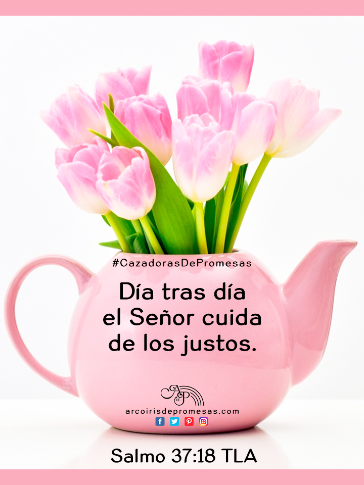 Arcoiris De Promesas Vivimos Bajo El Cuidado De Nuestro Dios Felizdia