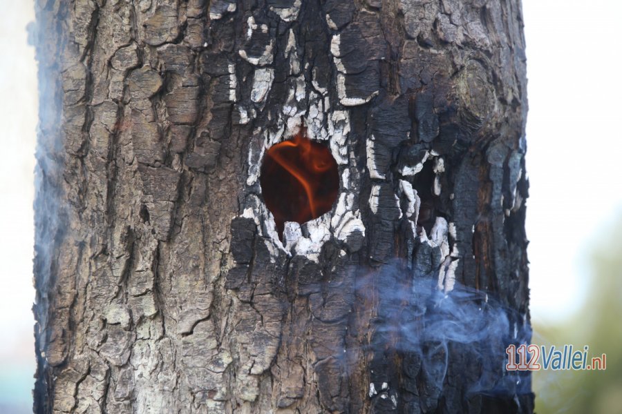 Boombrand door vuurwerk. 112Vallei.