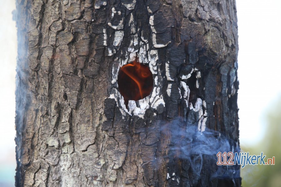 Boombrand door vuurwerk. 112Nijkerk.