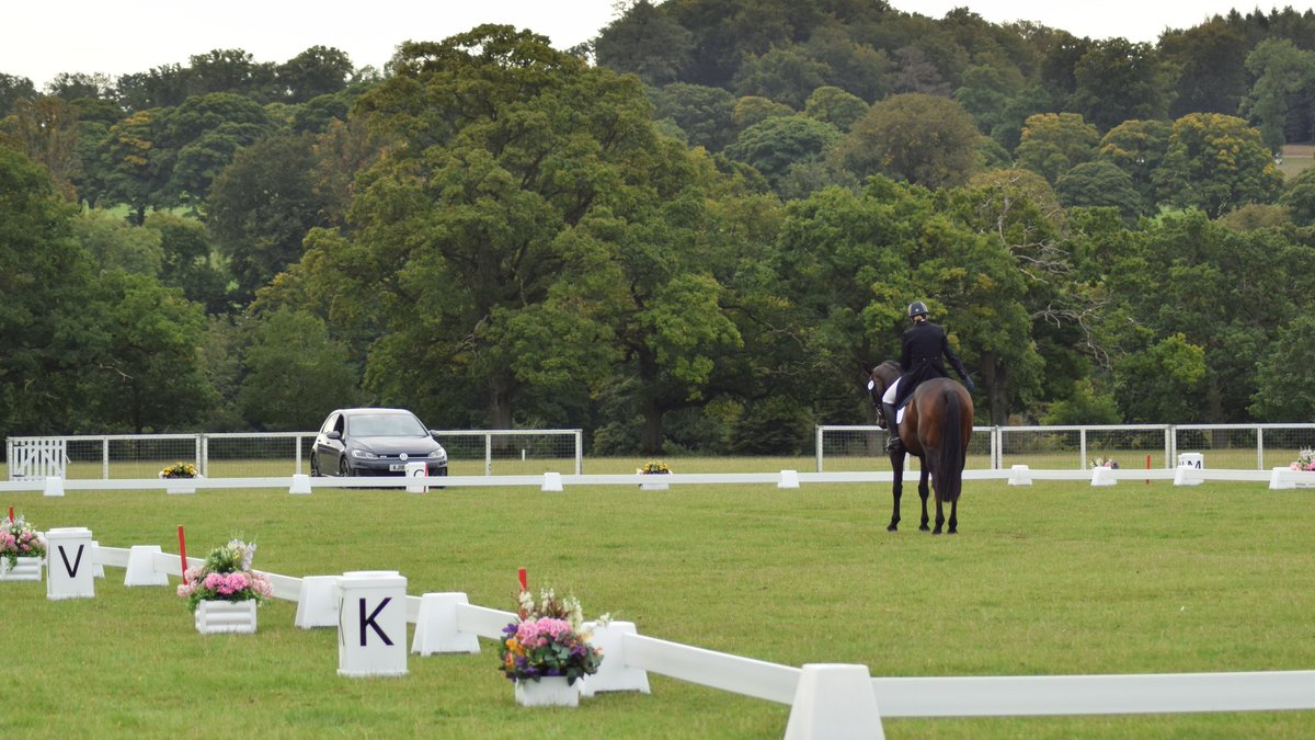 Amanda Mitchell tweet media