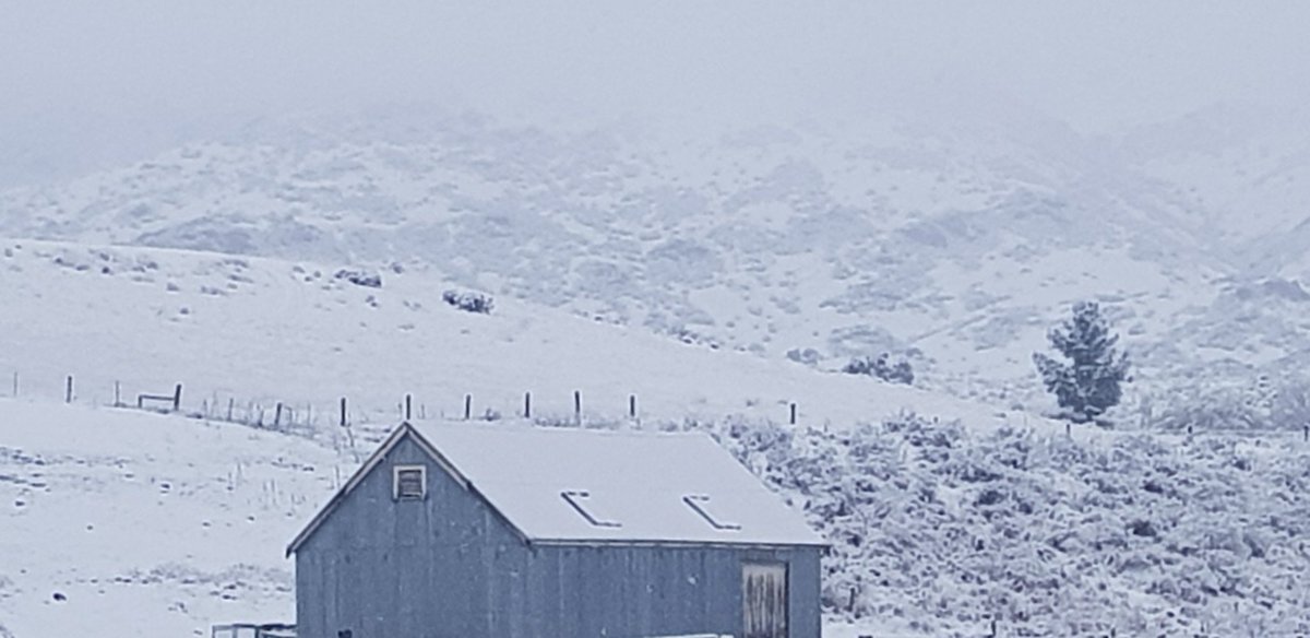 RAORnetwork's tweet image. Morena - good morning (from NZ)