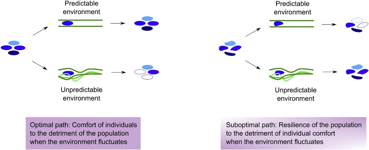 How humans may co-exist with Earth? The case for suboptimal systems sciencedirect.com/science/articl…