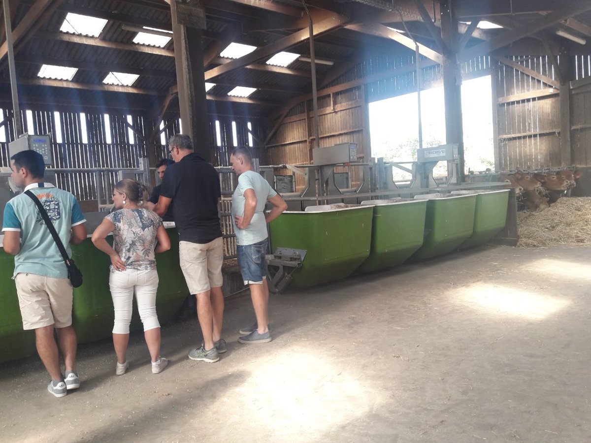 [EXPERIMENTATION] Déplacement @VIVEAformation à la <a href="/FxpTHORIGNE/">Ferme expérimentale de Thorigné d'Anjou</a> avec des agriculteurs de #Correze : visite de bâtiment avec systèmes de pesée, échanges sur les leviers de l'autonomie alimentaire avec tours de parcelles
