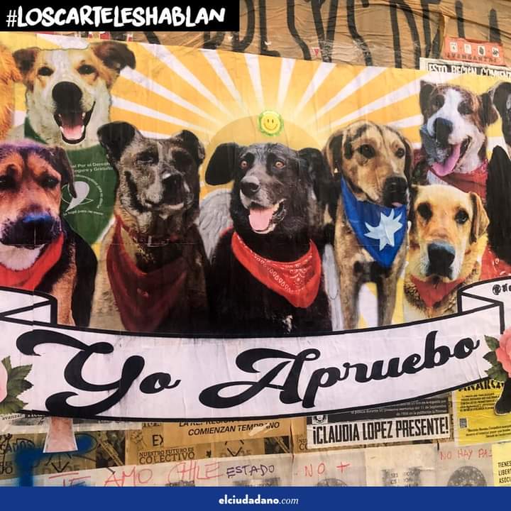 KarlosOlivarez's tweet photo. #NegroMataPacos que corraaaaa!!!!!! https://t.co/9wwBgjmkf2
