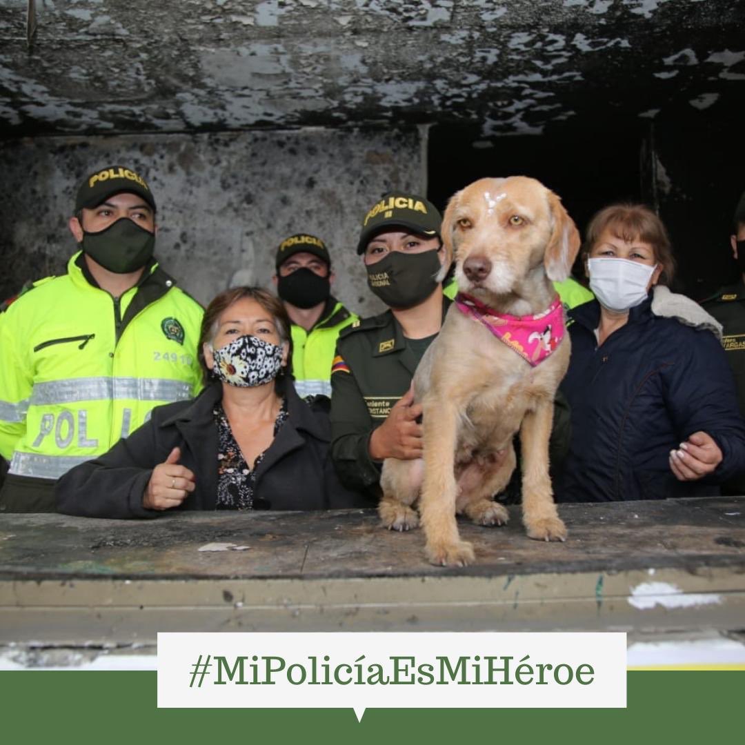 HernandoCortesL's tweet photo. #MiPolicíaEsMiHéroe https://t.co/cTZwRKGFCU