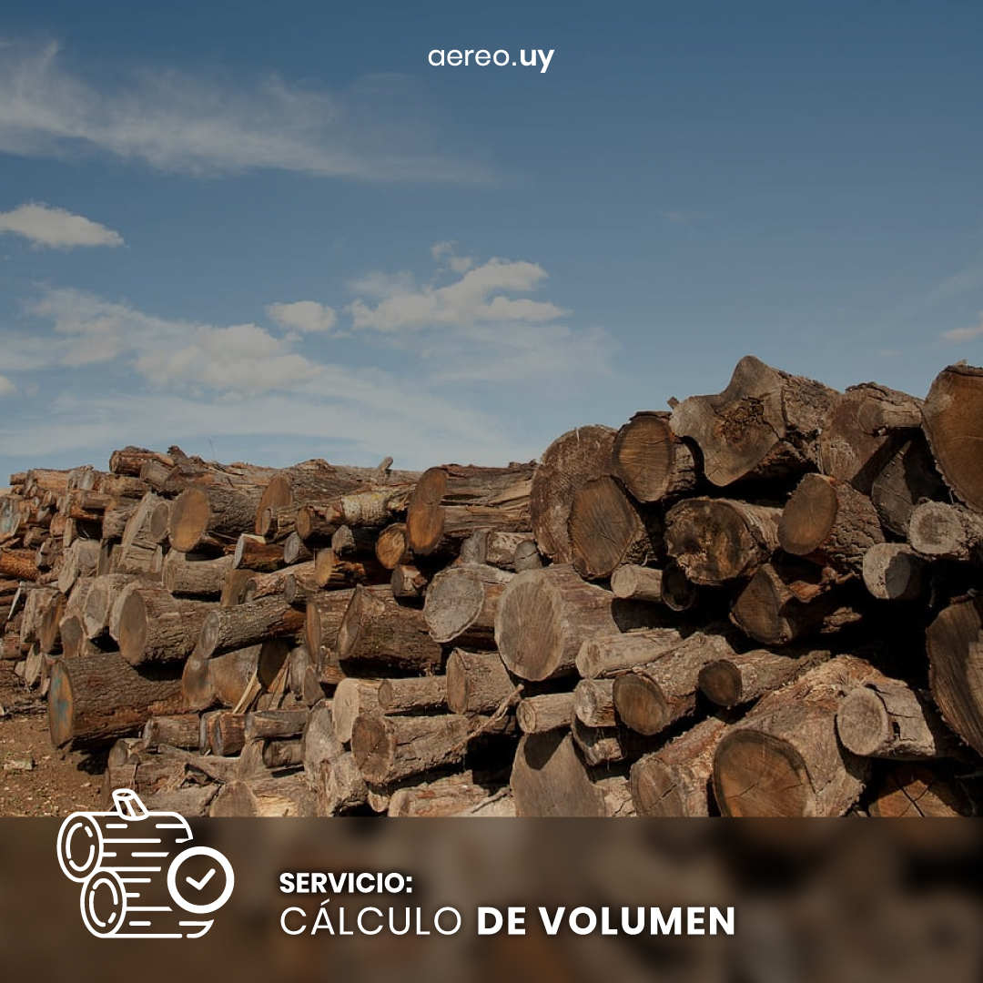 aereouy's tweet photo. Realice un inventario de su stock de madera, controle sus operaciones y logística.  Con un inventario correcto y de calidad usted podrá estimar la productividad de sus operaciones.

Escribinos al 099754555 o en nuestra web https://t.co/9VncwDruSh https://t.co/f0QRaFWrYv
