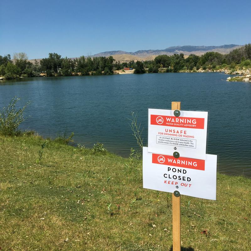 EPARegion10's tweet photo. #EPAStar awardee @uidaho researchers are developing and accelerating three innovative water treatment technologies to remove phosphorus and help restore algae-impacted waters. https://t.co/yAyKaEZgwv #HABs @IdahoDEQ https://t.co/HKiWxDgAP0