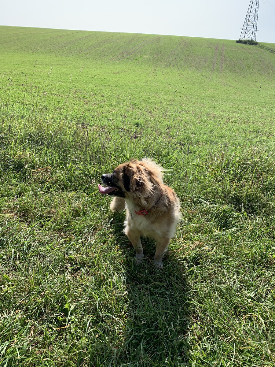 perkinspets's tweet photo. What a beauty of a day ☀️ https://t.co/J5qaOeGz5k