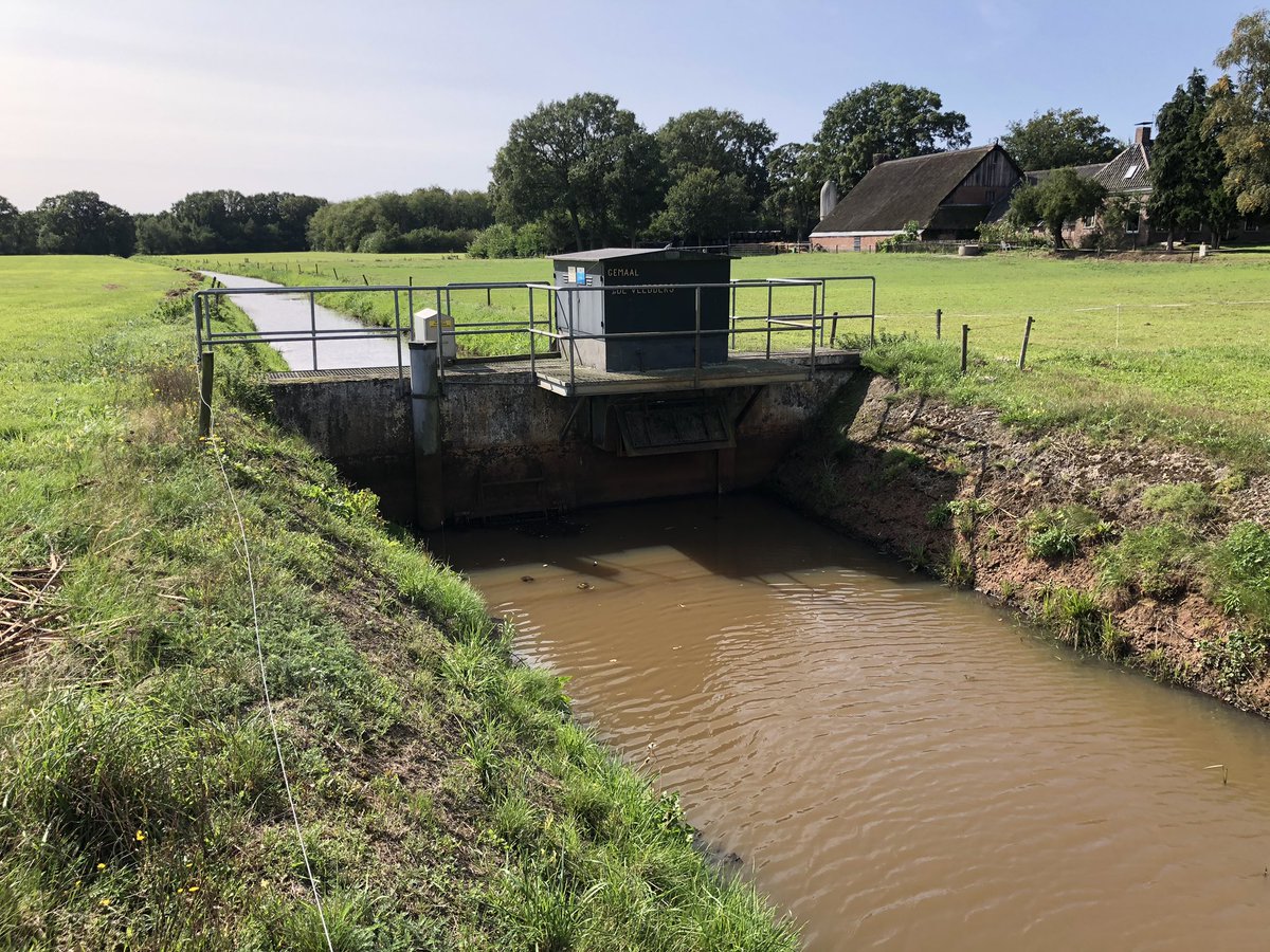 Roel van der Horst tweet media