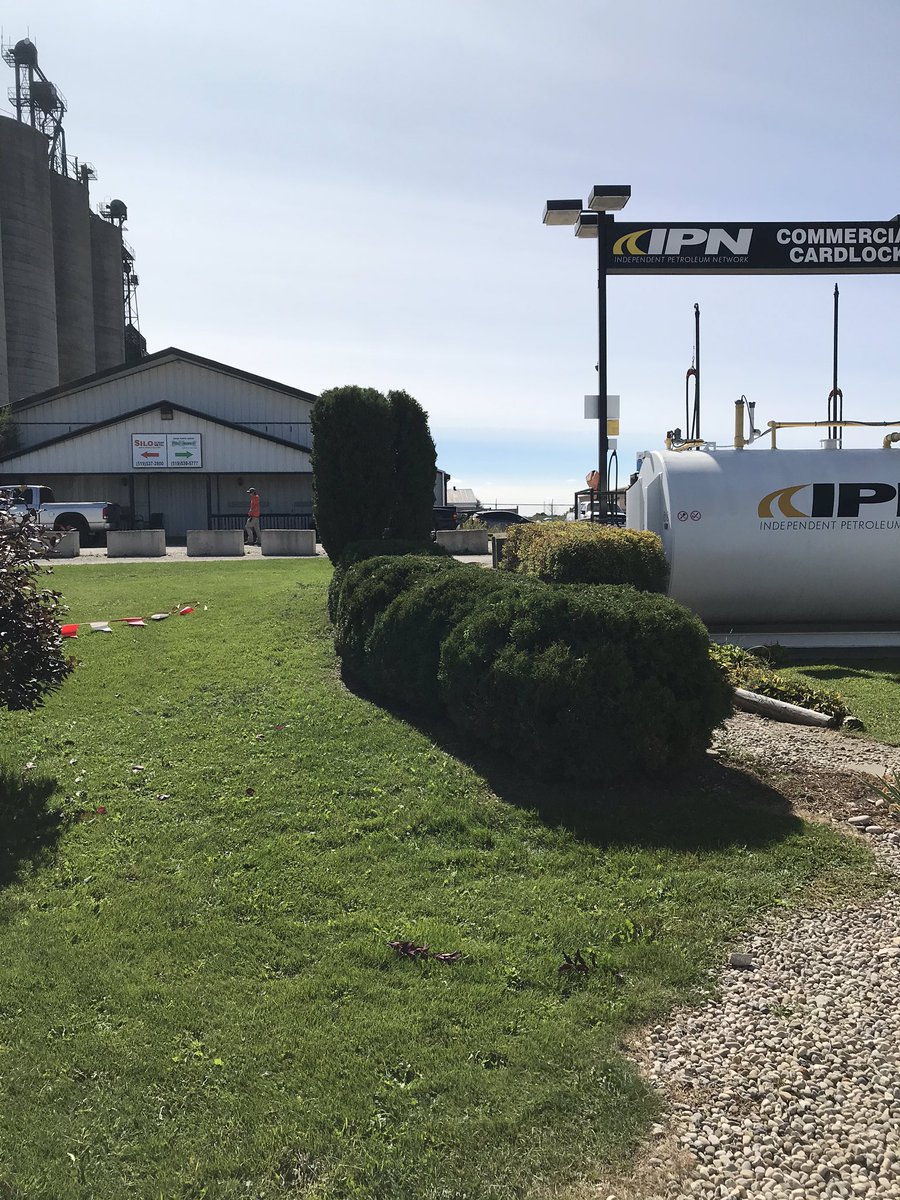 DuroseGerri's tweet photo. UPI Woodstock beauty day for an outside tidy up!! @UPIEnergy @UPICommunity https://t.co/xbz0NZc7vg