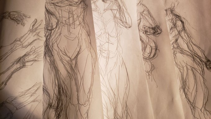 筋トレ四十五日目 