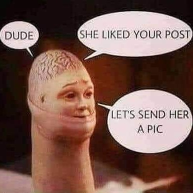 Cookie Crotch Nuts tweet media