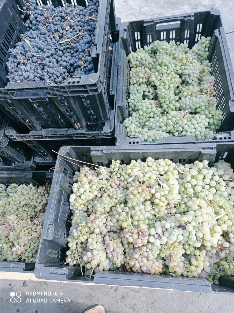 𝕃𝕒𝕦𝕣𝕒 𝕃𝕠𝕣𝕖𝕟𝕫𝕠 tweet media