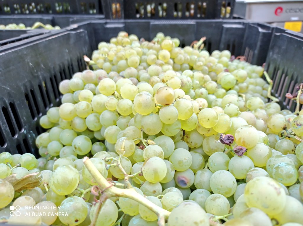 𝕃𝕒𝕦𝕣𝕒 𝕃𝕠𝕣𝕖𝕟𝕫𝕠 tweet media