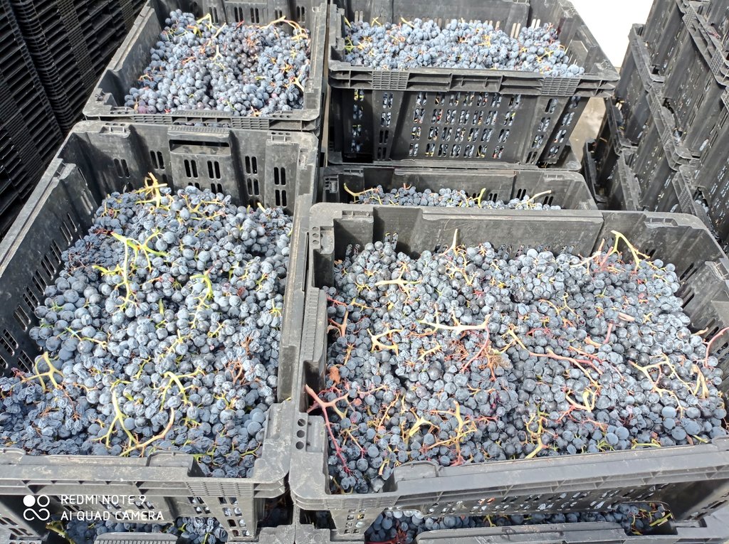 𝕃𝕒𝕦𝕣𝕒 𝕃𝕠𝕣𝕖𝕟𝕫𝕠 tweet media