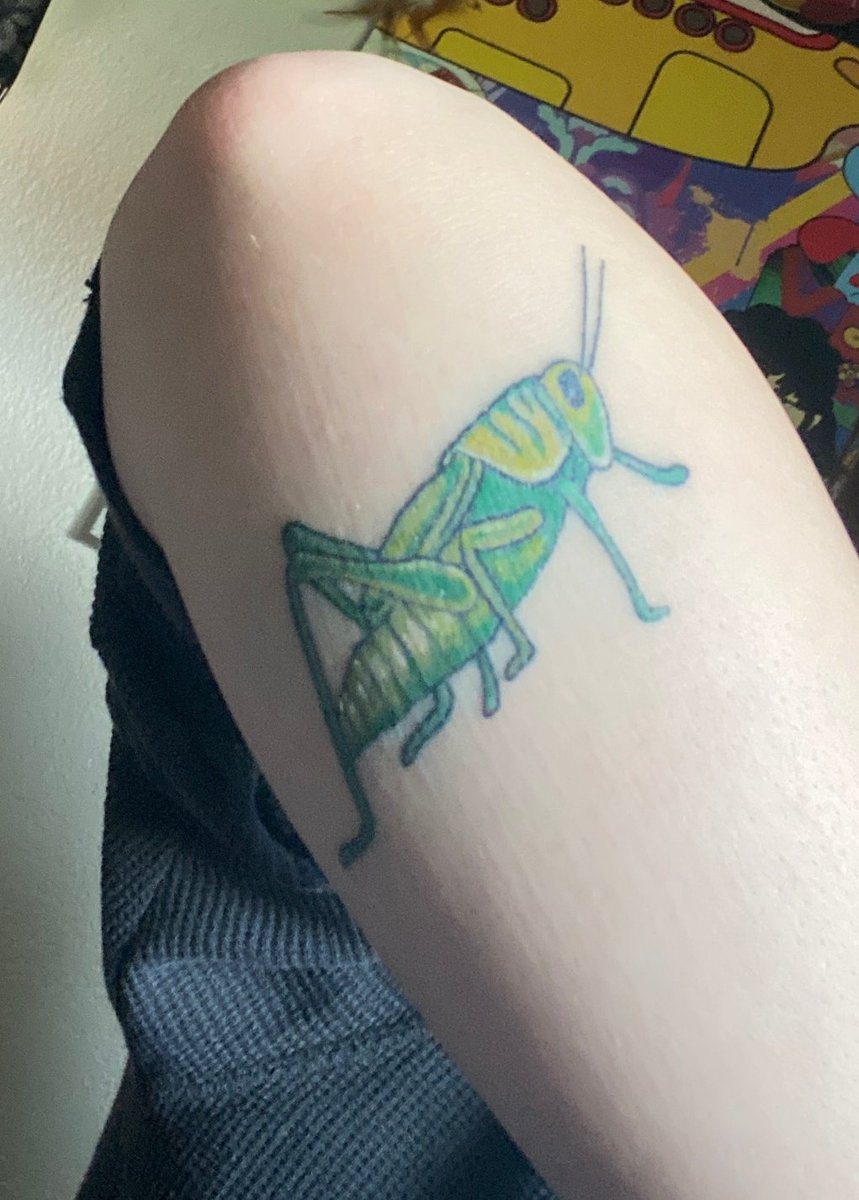 kdesm3953's tweet photo. My bug got a cricket for her Kricket! I'm not crying, you're crying! 😭❤ @erindesmarais https://t.co/XpwRnI66zF