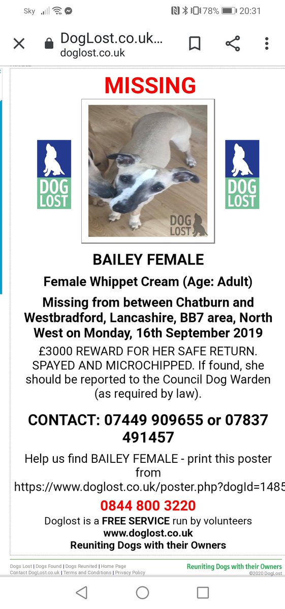 HunnyJax's tweet photo. #findbailey Have You SEEN ME ? In a Neighbour 's Garden or Window praps? Being Walked? At the VETS? Did someone SELL ME, BUY ME?
My Family Need me Home.
https://t.co/2MErzH3dIx
π Phone π
07449 909655
07837 491457 https://t.co/zy6mIrBm62