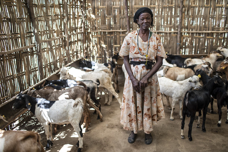 We're excited to partner with <a href="/WSUPullman/">WSU Pullman</a> through our new #FeedtheFuture Innovation Lab dedicated to animal health. The Innovation Lab will develop new &amp; improved programs and solutions to respond to animal disease to help #EndHunger. ow.ly/u8Uc50BtZnD #CultivatingHope