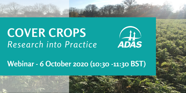 ADASGroup's tweet photo. Looking to make the most of your #covercrops? Join our 'Cover Crops: Research into practice' webinar with scientists @anne_bhogal &amp; @KateESmith11  who will be sharing practical advice on crop choice and management.
📅 6 October 10:30 -11:30
Find out more -https://t.co/ZXDwlSF315 https://t.co/zNuFwAxLGX