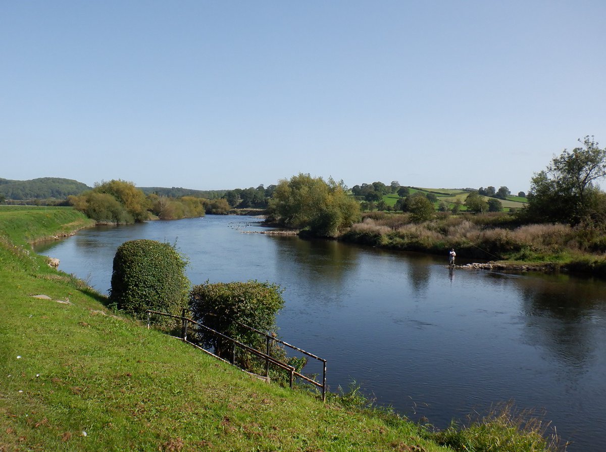 Duncan_Smart1's tweet photo. Thursday 17th September 7.4 mile circuit from Holme Lacy with @lrcwalks along #RiverWye, Shepherd's Rough, Lower Bolstone Wood and the Green Drive YTD 857.3 miles of #walk1000miles A beautiful day for a walk! https://t.co/S3twWvWQaN