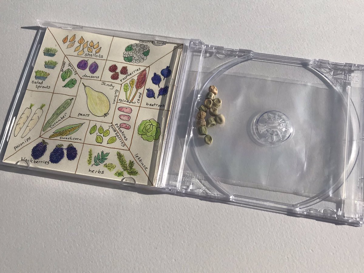 Sue Flowers tweet media