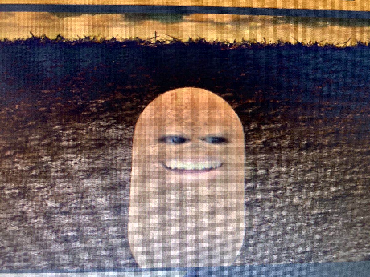 Rachel Baxter (she/her) tweet media