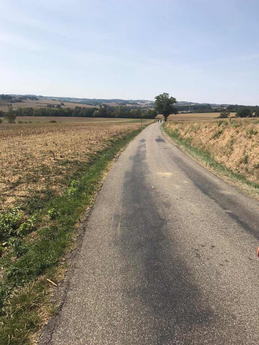 Jean Dionis tweet media