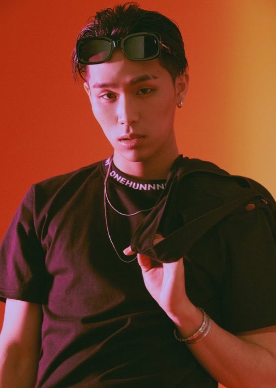 11) Sik-k (Hip-hop)Sik-k is a rapper that was a contestant on Show Me the Money 4. he then released his first EP, Flip, on July 20, 2016fav songs:- vanessa ft. Crush- party shut down ft. Crush ☆ - iffy (jay park, ph-1)