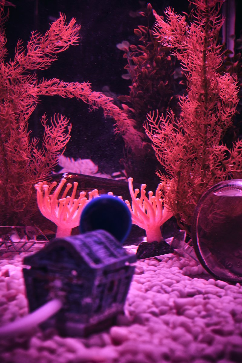 Will you get the groom to the ceremony and save the day in our Hangover Déjà Brew room?

aimescape.com