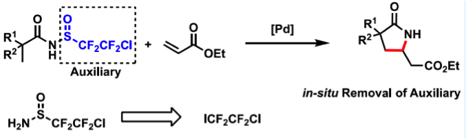 Szostak_Group's tweet photo. #amides Wang’s group reports synthesis of γ-lactams via #CHolefination using #self-cleaving #sulfinylmide directing group. #Activated #amides can do their trick!
#polyfluoroethylsulfinyl #Lactams #olefination #palladium @guangchenlier @JOC_OL
https://t.co/eif2FgtqoS https://t.co/jayO17uvFn