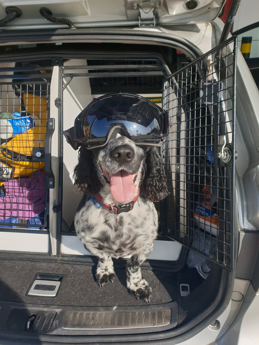 Been to <a href="/DerbyshireFRS/">Derbyshire Fire & Rescue Service</a> and <a href="/DerbysPolice/">Derbyshire Police</a> joint training centre today. Whilst I'm inside talking to the incident command course Dexter's outside sunbathing