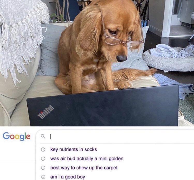 Respectful Memes (@respectfulmemes) on Twitter photo 