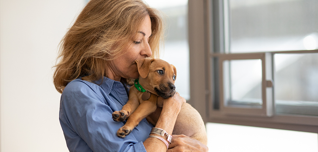 “A natural disaster is as much a crisis for animals as it is for humans. But while many people have disaster plans in place for themselves, too few people think in advance about how they would provide care for their pets.” Read our important safety tips: bddy.me/3iGeUZf