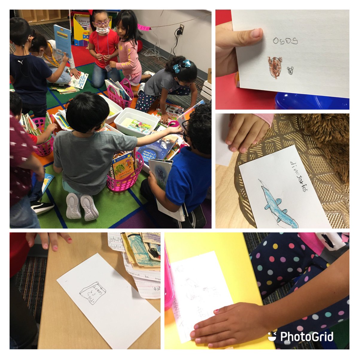 Cortesducks's tweet photo. It’s so much fun to see our kiddos label, sort and take ownership of our classroom library books! https://t.co/lG476vxD6l