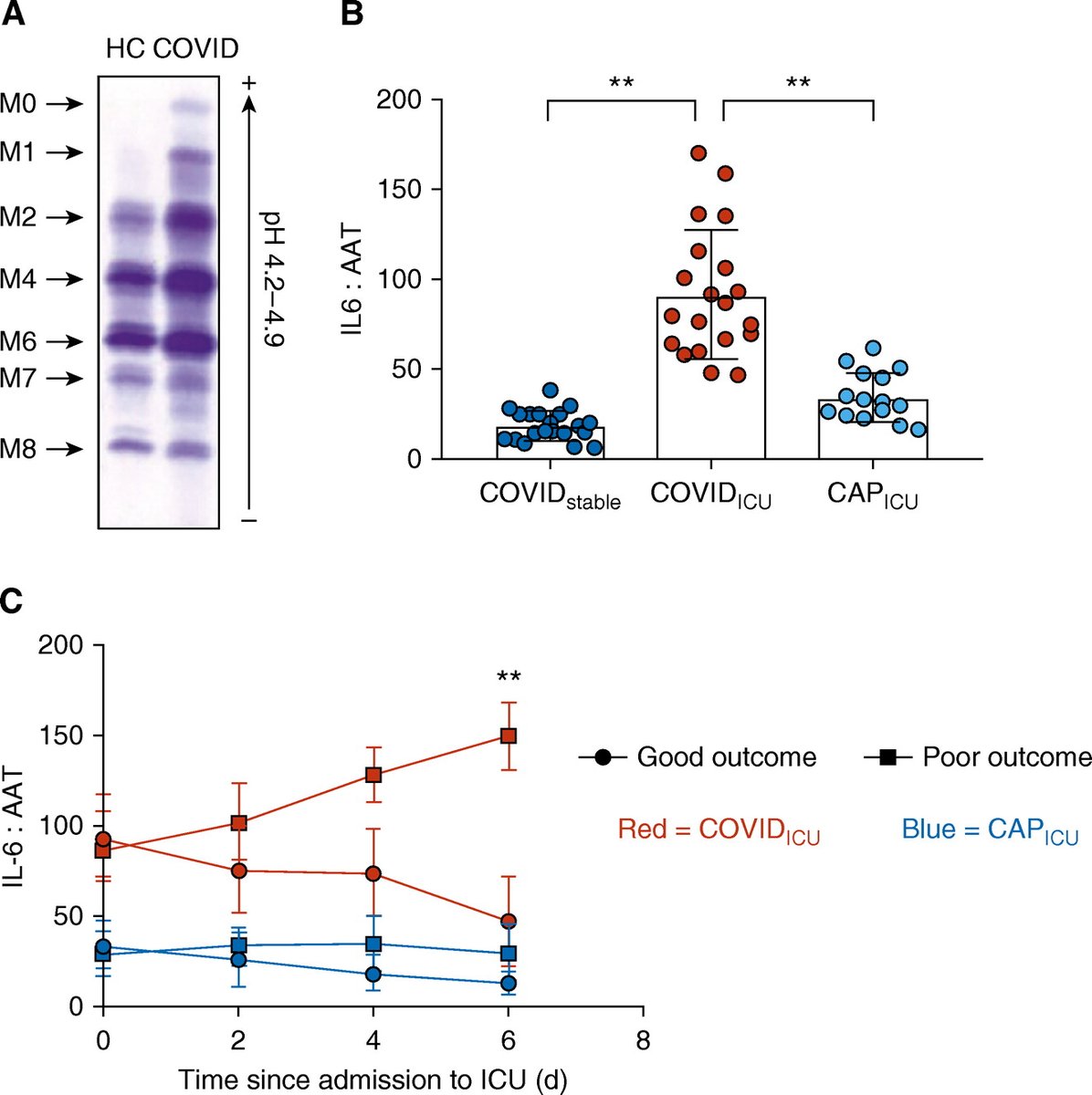 Characterization of the Inflammatory Response to Severe COVID-19 Illness

🔓 Open Access
🔗 ow.ly/OVVz50BsA6H