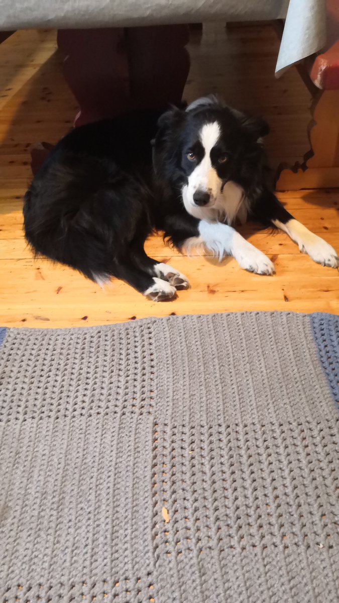 timppalive's tweet photo. Terve,
Ihan tässä vaan rokulipäivä 🐺 https://t.co/9X9klmdcyz