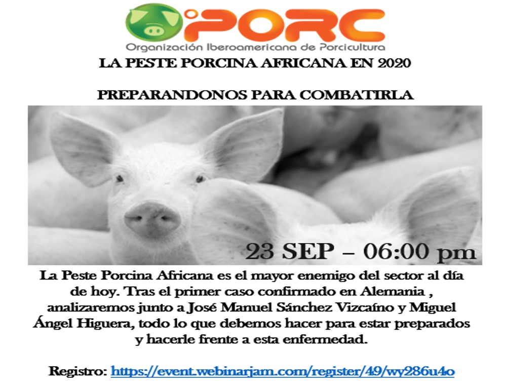 La Peste Porcina Africana ahora en Alemania, lo mejor es estar preparados. Aquí podrás escuchar a los expertos.