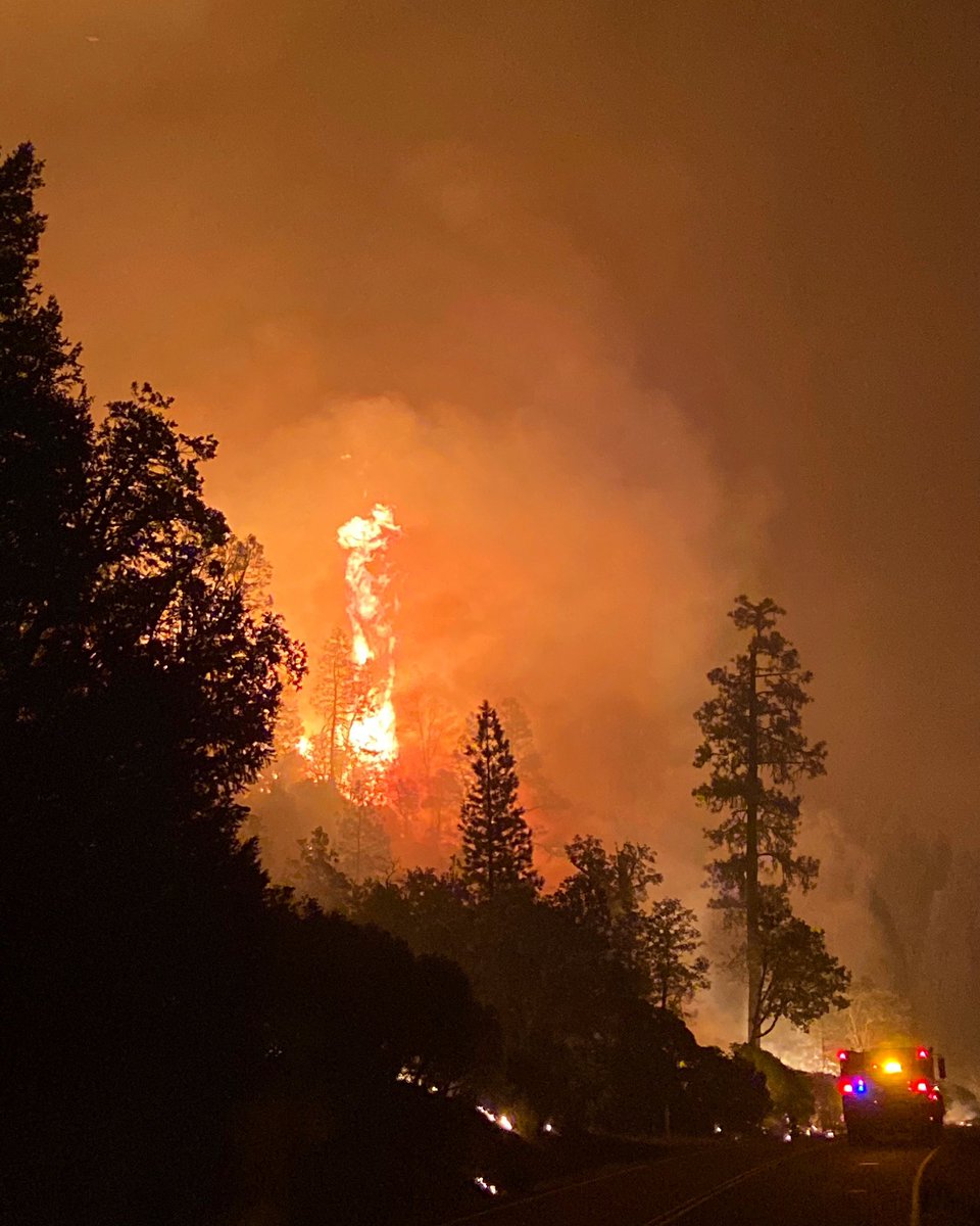 TucsonFireDept's tweet image. #TucsonFire Engineer Nate Burgess snapped this shot of trees scorching as part of back burn operations to secure the fire line on one side of the #augustcomplexfire 🔥 Burgess and #TFD Paramedic Branden Mason are part of a team of thousands of wildland firefighters...